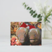 Vergiss nicht die Weihnachtsaale! Feiertagspostkarte (Stehend Vorderseite)