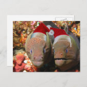 Vergiss nicht die Weihnachtsaale! Feiertagspostkarte (Vorne/Hinten)