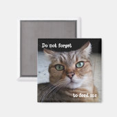 Vergiss nicht, eine Katze Füttern Magnet (Vorderseite/Rückseite)