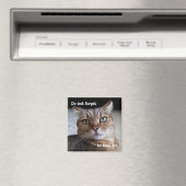 Vergiss nicht, eine Katze Füttern Magnet (In Situ (Geschirrspüler))