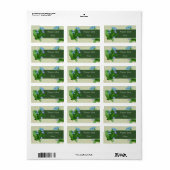 Vergissmeinicht Adressaufkleber (Vorne)