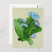 Vergissmeinicht Postkarte (Vorne/Hinten)