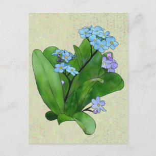 Vergissmeinicht Postkarte