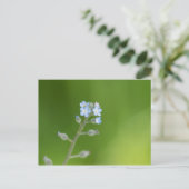 Vergissmeinnicht-Blumen Postkarte (Stehend Vorderseite)