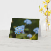 Vergissmeinnicht Karte (Gelbe Blume)