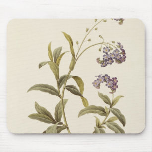 Vergissmeinnicht Mousepad