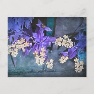 Vergissmeinnicht (Myosotis) Postkarte