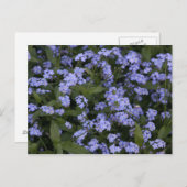 Vergissmeinnicht Postkarte (Vorne/Hinten)