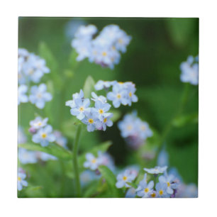 Vergissmeinnichte Fliese