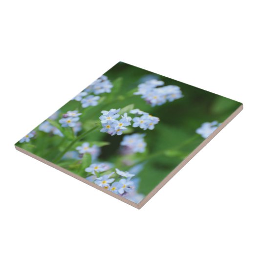 Vergissmeinnichte Fliese (Seite)