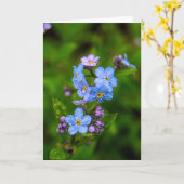 Vergissmeinnichte im Regen Karte (Gelbe Blume)