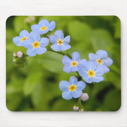 Vergissmeinnichte Mousepad (Vorne)