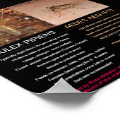 Vergleich von Zika-Carry-Moskitos durch RoseWrites Poster (Ecke)