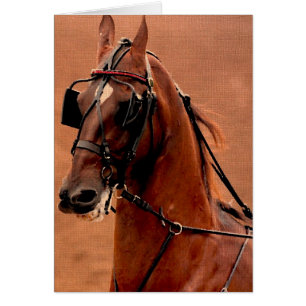 Vergnügen an der Harness Saddlebred Digitale Kunst