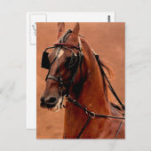 Vergnügen an der Harness Saddlebred Digitale Kunst Postkarte (Vorne/Hinten)
