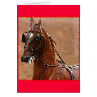 Vergnügen Harness Saddlebred Digital Art Red Borde