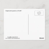 Vergnügungspark, Tschernobyl Postkarte (Rückseite)