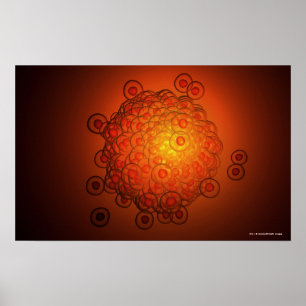 Vergrößerter Blick auf das Ei Poster