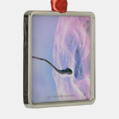 Vergrößerter Blick auf Samenzellen, die ein Ei Silbernes Ornament (Rechts)