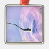 Vergrößerter Blick auf Samenzellen, die ein Ei Silbernes Ornament (Vorne)