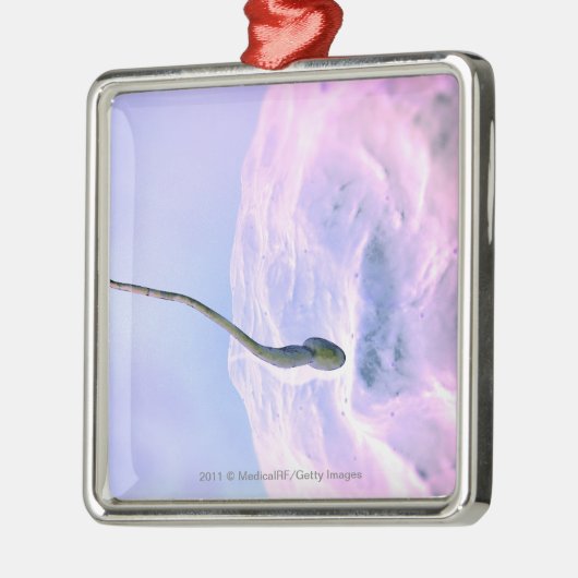 Vergrößerter Blick auf Samenzellen, die ein Ei Silbernes Ornament (Links)