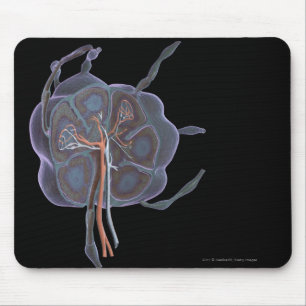Vergrößerter Blick eines Lymphknotens Mousepad