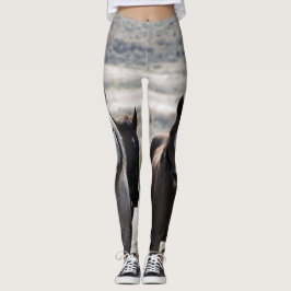 Verheerendes Feuer, Driifter und Ohye Leggings