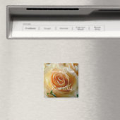 Verheiratet Magnet (In Situ (Geschirrspüler))