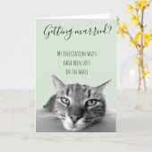 Verheiratete Ehe aus dem KatzenSpaß Karte (Gelbe Blume)