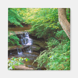 Verhungerter Felsen-Park, Illinois Magnet