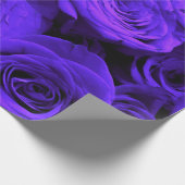 Veri peri periwinkle blaue lila Rose Geschenkpapier (Ecke)