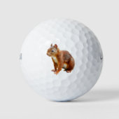 Véritable Écureuil Roux Mignon-Stylisé Golfball (Vorderseite)