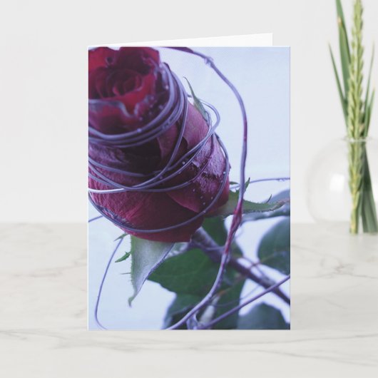 verkabelt feiertagskarte (Vorderseite)