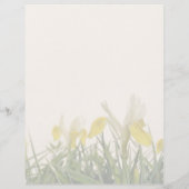 Verkauf von Iris bucharica Pflanze Flyer (Hinten)