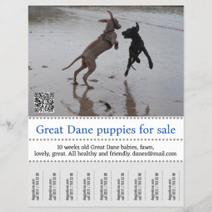 Verkäufer Anzeigeersteller Flyer