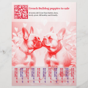 Verkaufsflyer für Französische Bulldoggen Flyer