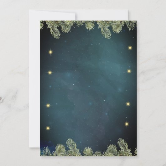 Verkaufsstellen, Zweigstellen, Snowflakes Party Einladung (Rückseite)