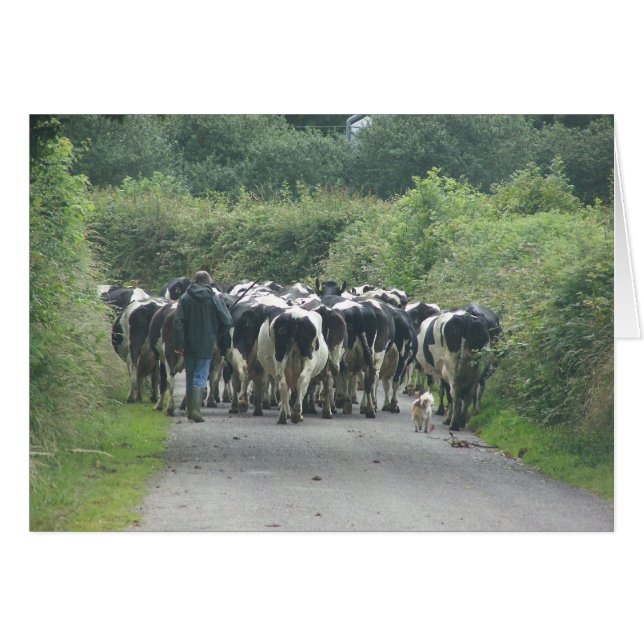 Verkehrsstau! (Vorderseite (Horizontal))