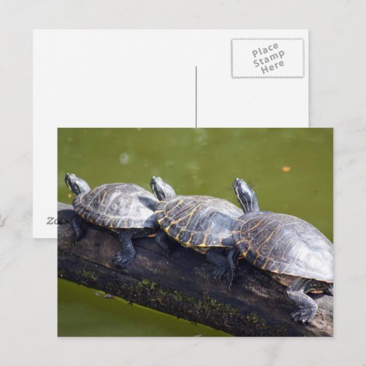 Verkehrsstau Postkarte (Vorne/Hinten)