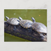 Verkehrsstau Postkarte (Vorderseite)