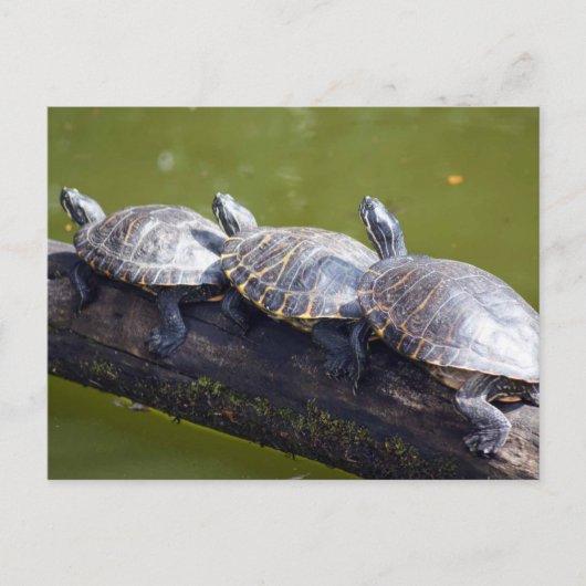 Verkehrsstau Postkarte (Vorderseite)