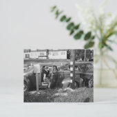 Verkehrsunfall, Los Angeles, 1951 Vintag Postkarte (Stehend Vorderseite)