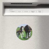 verkleidet und dreist magnet (In Situ (Geschirrspüler))