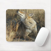 Verkratzen des Kojote-R17 Mousepad (Mit Mouse)