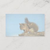 Verkratzen des roten Eichhörnchens Visitenkarte (Rückseite)