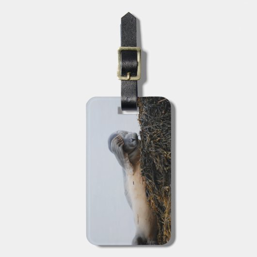 Verkratzen des Siegel-Gepäck-Umbaus Gepäckanhänger (Vorderseite vertikal)