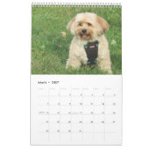 Verkupfern Sie den Havapookie Kalender (Mär 2027)