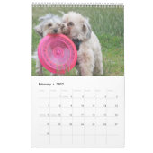 Verkupfern Sie den Havapookie Kalender (Feb 2027)