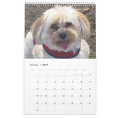 Verkupfern Sie den Havapookie Kalender (Jan 2027)
