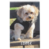 Verkupfern Sie den Havapookie Kalender (Titelbild)